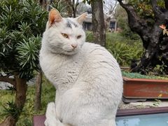 -成都杜甫草堂博物馆