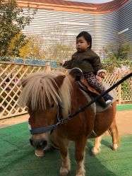 -萌宠亲子动物乐园(槐房万达店)