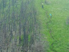 -阳台山自然风景区