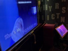 -欢乐驿站量贩式KTV(西丽店)