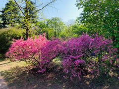 -国家植物园南园