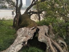 -江心屿景区
