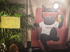 -后院儿·精酿·塔罗Happy Bar