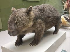 -国家自然博物馆