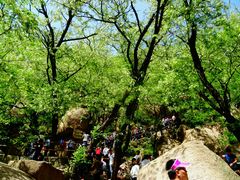-嵖岈山风景区