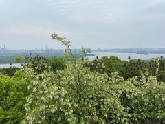 -宝界山林公园