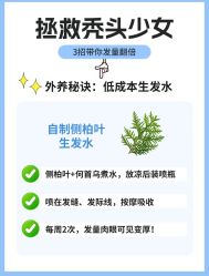 -Bollins波林丝•专研护发中心