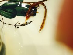 -陈记菜馆·非遗淮扬菜(东关街教场店)