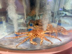 -海底捞大排档火锅(打浦路店)