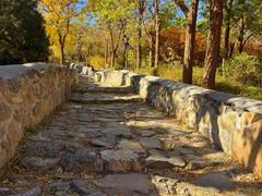 -阳台山自然风景区