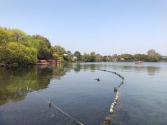 -西湖外事游船(花港观鱼码头)