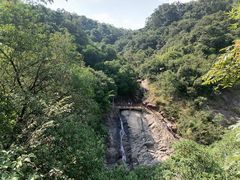 -广州白江湖森林公园