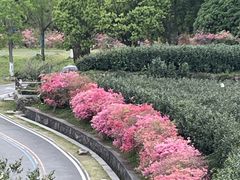 -万佛湖风景区