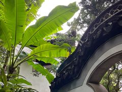 -秋霞圃
