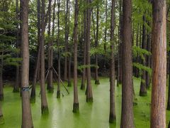 -云龙湖旅游景区