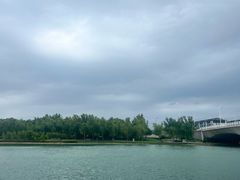 -河南省体育场馆中心游泳馆