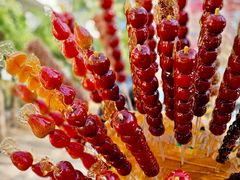 -三里屯东五街银杏大道