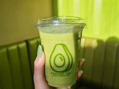-油梨树AVOCADO TREE(顺义新国展店)