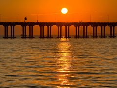 -宝安西湾红树林湿地公园