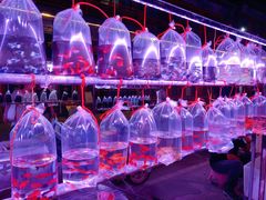 -华声天桥民俗文化园