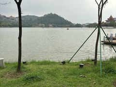 -顺峰山公园