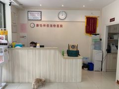 -瑞派康怡24h宠物医院·犬猫医疗中心·微创绝育(瑞景分院)