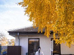 -自如ZSPACE四合院艺术餐厅