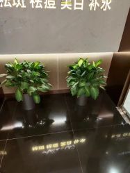 -苑苑vbeauty科技美容SPA