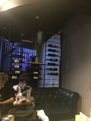 -藤野造型