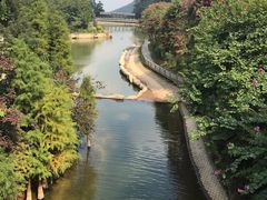 -广州市帽峰山景区