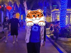 -三亚海昌梦幻海洋不夜城