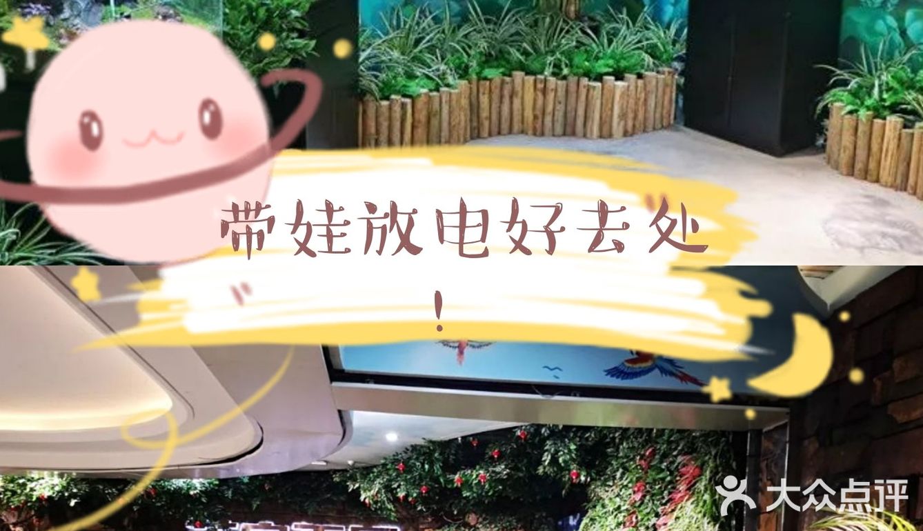 这家萌宠乐园，各种可爱动物撸不停！