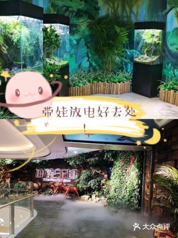 这家萌宠乐园，各种可爱动物撸不停！