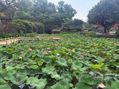 -广州莲花山旅游区