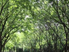 -同里国家湿地公园