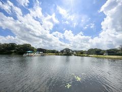 -济州森林小火车生态公园