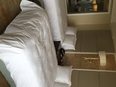 阳澄湖费尔蒙酒店-阳澄湖费尔蒙酒店