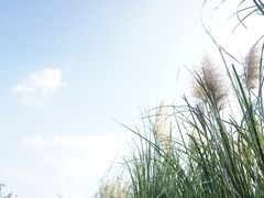 -贵阳市花溪国家城市湿地公园