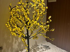 -圣和足道·瑶浴SPA·养生茶府(光华店)