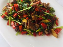 小炒牦牛肉-中发源·清真餐厅(南油店)