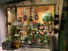 -蝶舍·MAISON PAPILLON