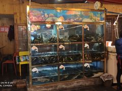 -三道苗苗鱼·美蛙黄辣丁(八里店)