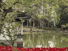 -无锡梅园公园