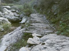 -终南山国家森林公园