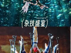 -重庆国际马戏城
