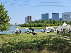 -北龙湖湿地公园