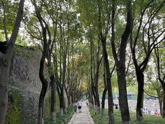 -乌镇景区