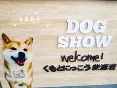 -柴源莊·柴小宠柴犬咖啡