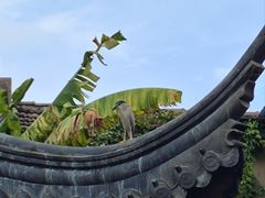 -下海庙