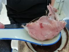原只椰子炖鹌鹑-達揚原味燉品(文明路店)
